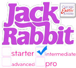 cal exotics jack rabbit intermediate vibrator collection